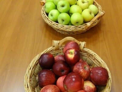 Održana radionica Interreg IPA CBC programa Croatia-Serbia!