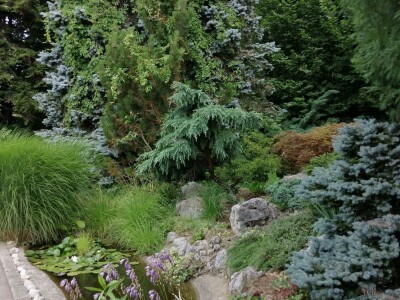 Održana uvodna konferencija projekta „Uspostava regionalnog centra kompetentnosti u poljoprivredi „Arboretum Opeka“