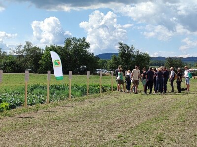 Ekološki dani polja u Gradišću-Biofeldtage 2021.