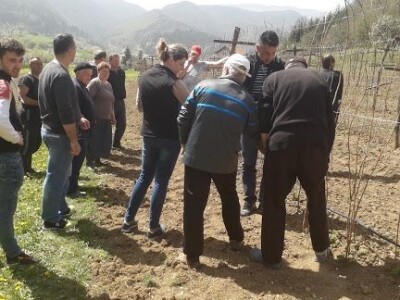 Održano predavanje i radionica na temu "Savremena tehnološka rješenja u uzgoju maline, sa fokusom na aktuelne radove u zasadima"