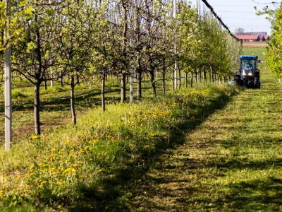 Održavanje međurednog prostora u voćnjaku