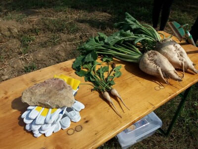 Održiva poljoprivreda