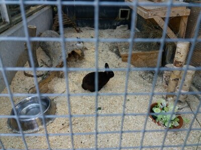 Održiva poljoprivreda