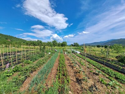 Održivo imanje u podnožju Mosora Održivo imanje u podnožju Mosora