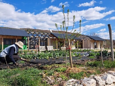 Održivo imanje u podnožju Mosora Održivo imanje u podnožju Mosora