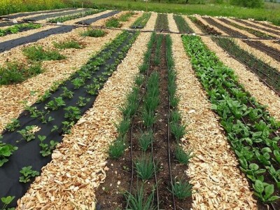 Održivo imanje u podnožju Mosora Održivo imanje u podnožju Mosora