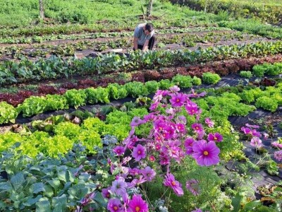 Održivo imanje u podnožju Mosora Održivo imanje u podnožju Mosora