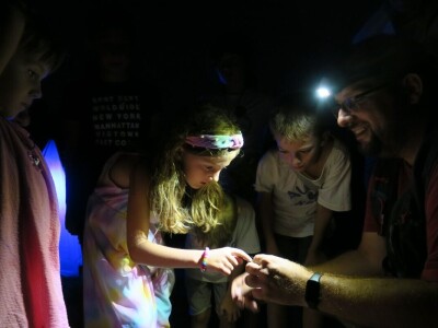 Oduševljeni mali i veliki istraživanjem kukaca u prirodi