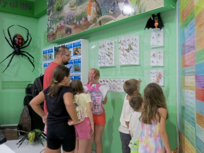 Oduševljeni mali i veliki istraživanjem kukaca u prirodi