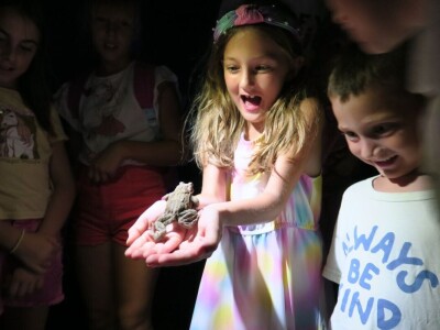 Oduševljeni mali i veliki istraživanjem kukaca u prirodi