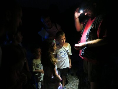 Oduševljeni mali i veliki istraživanjem kukaca u prirodi