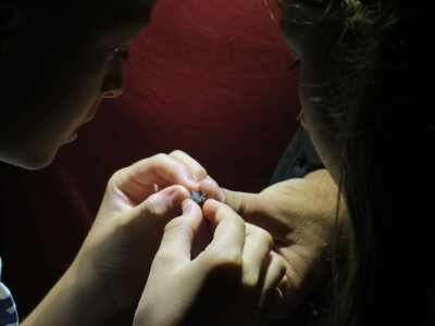 Oduševljeni mali i veliki istraživanjem kukaca u prirodi