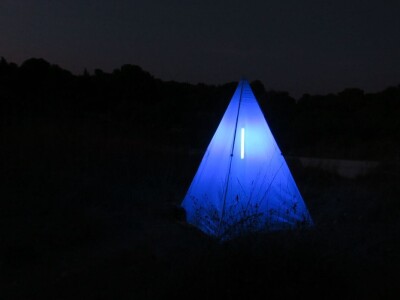 Oduševljeni mali i veliki istraživanjem kukaca u prirodi