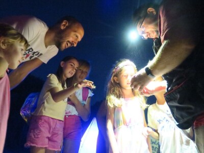 Oduševljeni mali i veliki istraživanjem kukaca u prirodi