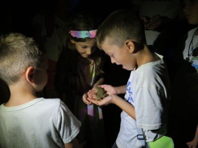 Oduševljeni mali i veliki istraživanjem kukaca u prirodi