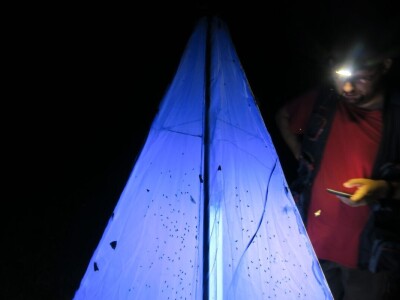 Oduševljeni mali i veliki istraživanjem kukaca u prirodi