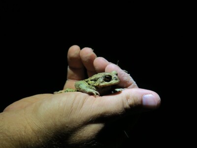 Oduševljeni mali i veliki istraživanjem kukaca u prirodi