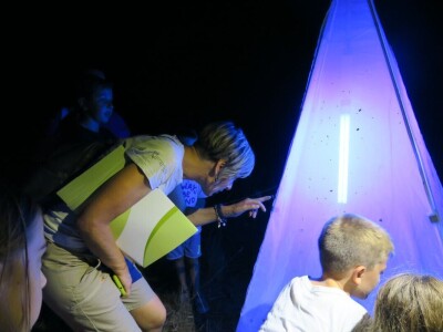 Oduševljeni mali i veliki istraživanjem kukaca u prirodi