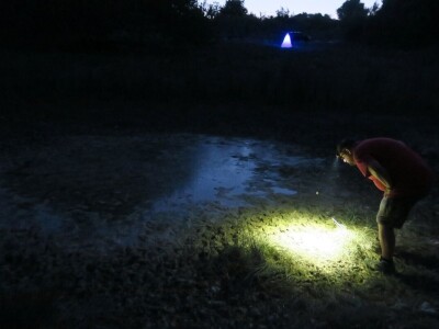 Oduševljeni mali i veliki istraživanjem kukaca u prirodi