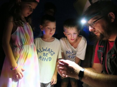 Oduševljeni mali i veliki istraživanjem kukaca u prirodi