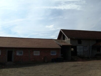 Odustao od proizvodnje mlijeka i okrenuo se tovu bikova i svinjogojstvu