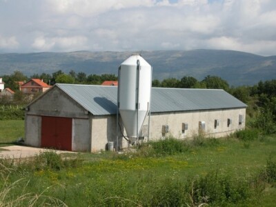 Peradarska farma OPG Pivac u Potravlju