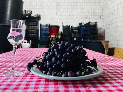 Oficirka u poljoprivrednim vodama