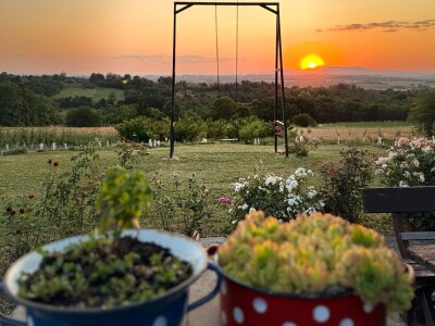 Oficirka u poljoprivrednim vodama