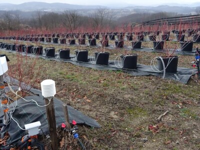 Ogledni zasad i meterološka stanica u Kačeru