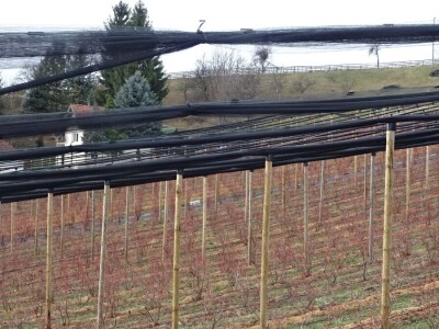 Ogledni zasad i meterološka stanica u Kačeru