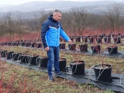 Ogledni zasad i meterološka stanica u Kačeru