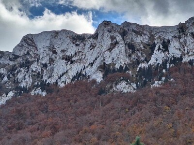 Ogrevno drvo za sve kupce, a sir po naruždbini i samo za stalne mušterije