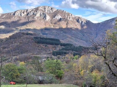 Ogrevno drvo za sve kupce, a sir po naruždbini i samo za stalne mušterije