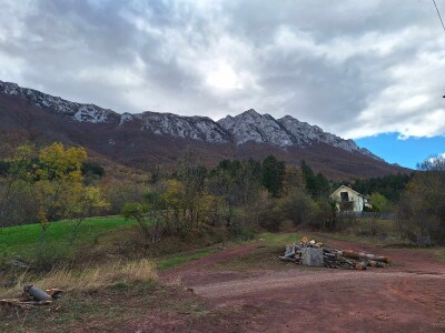 Ogrevno drvo za sve kupce, a sir po naruždbini i samo za stalne mušterije