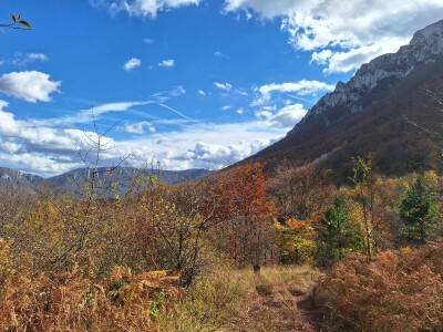 Ogrevno drvo za sve kupce, a sir po naruždbini i samo za stalne mušterije