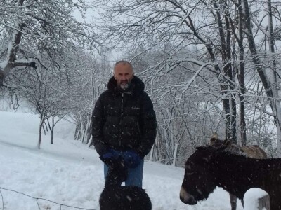 Ojacaj imunitet magarećim mlijekom