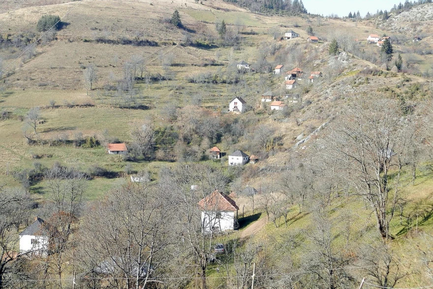 Ojkovica