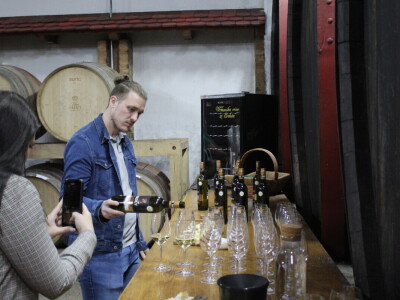 Okrugli stol u Erdutu