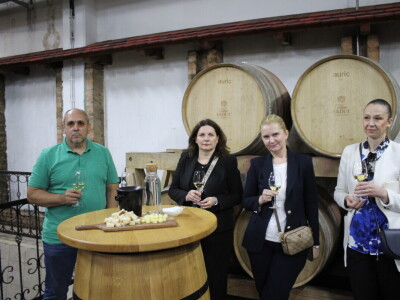 Okrugli stol u Erdutu