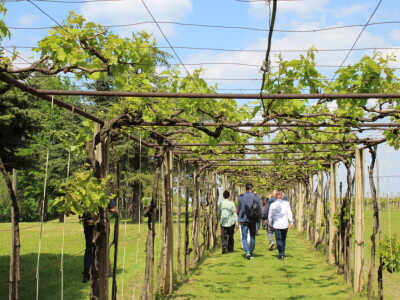 Okrugli stol u Erdutu