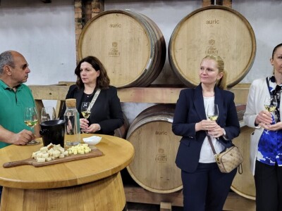 Okrugli stol u Erdutu