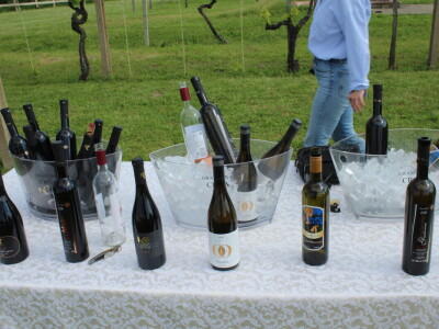 Okrugli stol u Erdutu