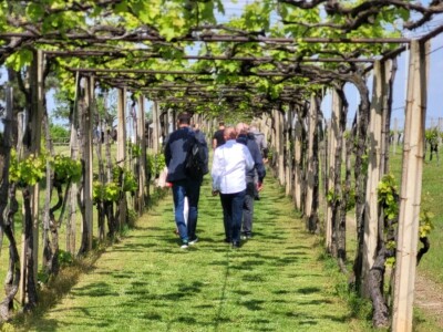 Okrugli stol u Erdutu