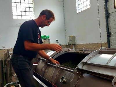 Oksana Sadžik: Bosanska zemlja i francuski hrast naše vino čine posebnim i prepoznatljivim