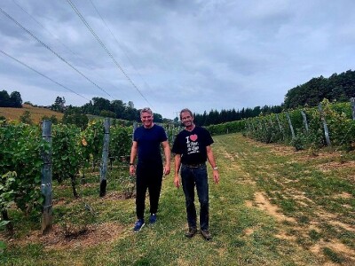 Oksana Sadžik: Bosanska zemlja i francuski hrast naše vino čine posebnim i prepoznatljivim