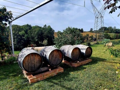 Oksana Sadžik: Bosanska zemlja i francuski hrast naše vino čine posebnim i prepoznatljivim