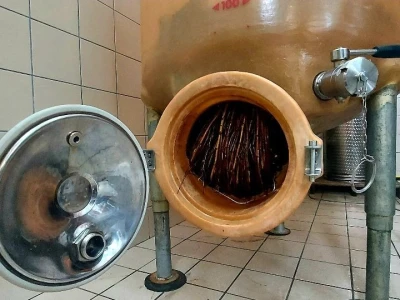 Oksana Sadžik: Bosanska zemlja i francuski hrast naše vino čine posebnim i prepoznatljivim