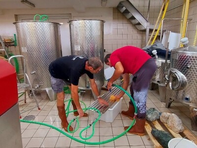 Oksana Sadžik: Bosanska zemlja i francuski hrast naše vino čine posebnim i prepoznatljivim