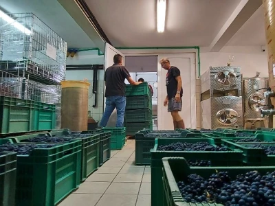 Oksana Sadžik: Bosanska zemlja i francuski hrast naše vino čine posebnim i prepoznatljivim