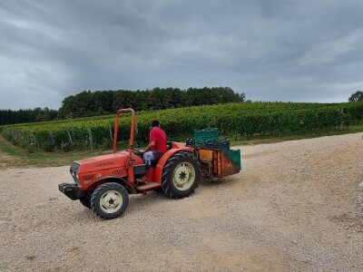 Oksana Sadžik: Bosanska zemlja i francuski hrast naše vino čine posebnim i prepoznatljivim
